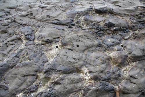 Lava almohadillada
Barranco de las Angustias, La Palma, Canarias, España
metros (Autor: canada)