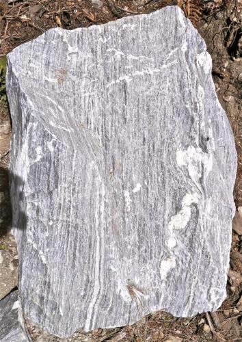 Gneiss con un tramo ocelar.
Chamje, Valle del Marsyangdi, Región de los Annapurnas, Nepal.
Altura: 1 m
Las intrusiones de pegmatita penetran paralelamente a la esquistosidad pero el movimiento lateral de unas capas sobre otras lo deforma hasta formar esos "ojos" (augen). (Autor: Josele)