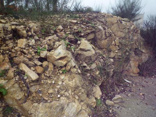 Aplita.
Rianxo, A Coruña, Galicia, España.
Pequeño afloramiento de aplita de unos 5 metros, aproximadamente. (Autor: Rafael varela olveira)