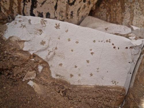 magnesita-esmectita
Barranco de Guanarteme. Las Palmas de Gran Canaria. España.
Ancho de imagen 30 cm.
Detalle de las dendritas de óxidos de manganeso. (Autor: María Jesús M.)