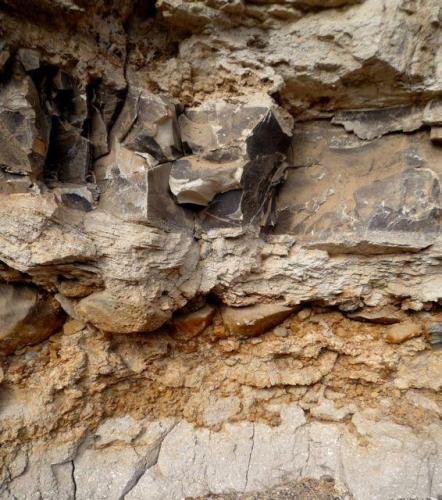 Magnesita-esmectita, cubierta de negro por óxidos de manganeso.
Barranco de Guanarteme. Las Palmas de Gran Canaria. España.
Altura aproximada unos 1,5 metros.
El estrato de magnesita-esmectita está intercalado entre dos tobas volcánicas bastante degradadas. (Autor: María Jesús M.)