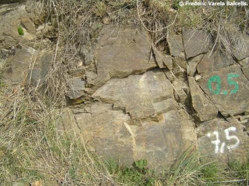 Cornubiana pelítica (cornubianita). Así se denomina a las corneanas formadas a partir de rocas arcillosas no carbonatadas. En este caso el sedimento originario era un depósito arcilloso del período Ordovícico sometido al metamorfismo de contacto. (Autor: Frederic Varela)