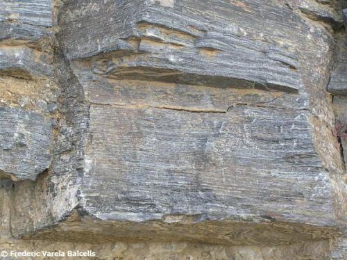 Corneana hornblendica. Proviene de una roca sedimentaria formada por cenizas volcánicas que se depositaron durante el Ordovícico y que sufrieron el metamorfismo de contacto de la intrusión de los granitoides hercínicos. Estas rocas pertenecen a la aureola interna (la más cercana al granitoide) de este metamorfismo. (Autor: Frederic Varela)