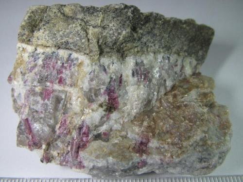 Pegmatita con turmalina
Animikie Red Ace Pegmatite, Condado Florence, Wisconsin, Estados Unidos
6 x 4’5 cm.
Zona de contacto entre la roca encajante (arriba, de grano fino) y la pegmatita intruida.  Ésta muestra cristales rosas de elbaíta (turmalina) junto al cuarzo de tono gris, y la mica lepidolita de color pardo a la derecha. (Autor: prcantos)