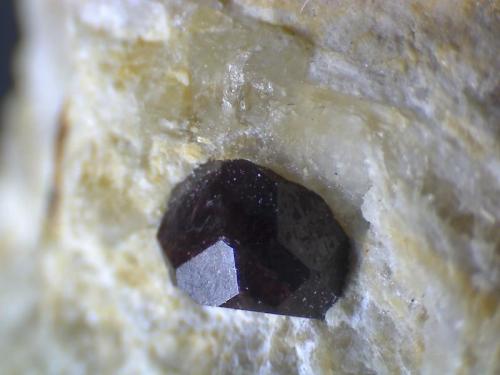 Cristal de zircón en la pegmatita anterior (detalle)
Mina Nibbio, Mergozzo, Verbano-Cusio-Ossola Province, Piedmont, Italia
80X (Autor: prcantos)