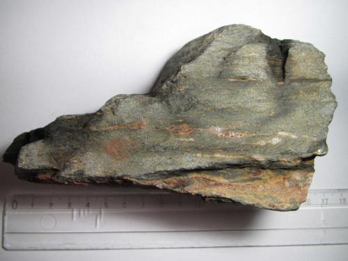 Milonita
Cary Mound, Wood County, Wisconsin, Estados Unidos
15 x 7’5 cm.
Una milonita rica en clorita.  Se observan pequeños lentejones fusiformes de cuarzo, cuya forma es debida a los esfuerzos dirigidos en condiciones de deformación plástica. (Autor: prcantos)