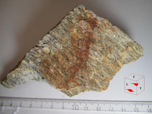 Gneis ocelar (sección transversal: cara T)
Charches, Granada, Andalucía, España
6’5 x 10 cm. (Autor: prcantos)