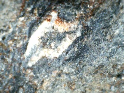 Quiastolita
Charches, Sierra de Baza, Granada, Andalucía, España
30X
Detalle de la sección de uno de los cristales en la roca anterior. (Autor: prcantos)