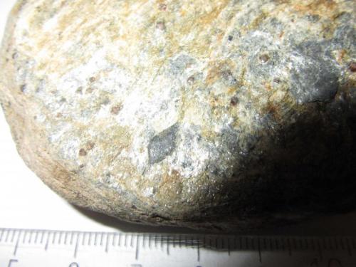 Detalle del cristal de cloritoide en la roca anterior
Charches, Sierra de Baza, Granada, Andalucía, España
7 mm. la diagonal mayor del rombo de cloritoide (Autor: prcantos)
