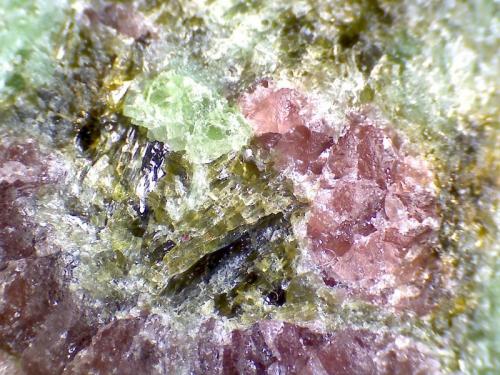 Eclogita
Åheim, Vanylven, Møre og Romsdal, Noruega
60X
Un cristal acicular oscuro, quizá anfíbol, y otros de color oliváceo, quizá clinozoisita. (Autor: prcantos)