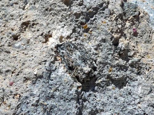 Este gneiss aparece como xenolito enclavado entre dacitas calcoalcalino-potásicas, como puede verse en el centro de la foto.
El Hoyazo de Níjar, Almería, Andalucía, España
FOV: 20 cm (Autor: Josele)