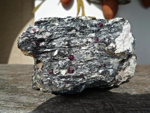 Gneiss de facies cordierita - sillimanita conteniendo, además de los minerales citados, feldespatos, almandino, anfíboles, piroxenos, biotita, cuarzo, ...
El Hoyazo de Níjar, Almería, Andalucía, España
11 x 9 x 6 cm (Autor: Josele)