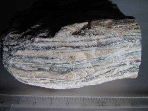 Milonita
Noruega
9 x 4’5 cm.
Vista lateral de la misma roca.  Se observan los nódulos cualzofeldespáticos rodeados por filosilicatos oscuros.  Hacia la izquierda es visible un pequeño pliegue acostado (Autor: prcantos)