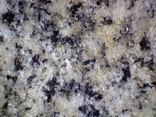Gneis
Río Acasta, Isla a 300 km. al norte de Yellowknife, Territorios del Noroeste, Canadá
75 X
Detalle de la misma pieza.  Es una roca cristalina de grano fino y  con bandeado apreciable. (Autor: prcantos)