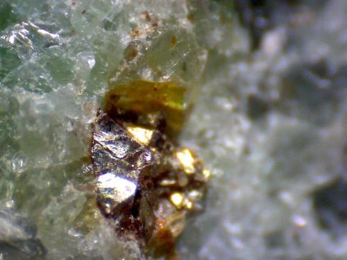 Eclogita (detalle)
Almklovdalen, Vanylven, Møre og Romsdal, Noruega
200X
Detalle de uno de esos pequeños granos dorados: quizá zircón.  Si alguien puede reconocerlo por la forma cristalina... (Autor: prcantos)