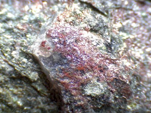 Esquisto con glaucofana
Isla de Anglesey, Gales, Reino Unido
70X
Detalle del mineral rojo que salpica las muestras anteriores.  No lo tengo identificado, pero supongo que podría ser zoisita. (Autor: prcantos)