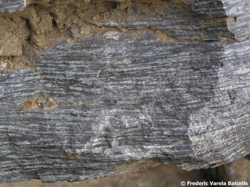 Corneana hornblendica "in situ".
Serra de Collserola, Barcelona (ciudad), Barcelonès, Barcelona, Catalunya, España
En este caso la corneana proviene de una roca sedimentaria formada por cenizas volcánicas que se depositaron durante el Ordovícico y que sufrieron el metamorfismo de contacto de la intrusión de los granitoides hercínicos. Estas rocas pertenecen a la aureola interna (la más cercana al granitoide) de este metamorfismo. Es una roca oscura, muy dura, con marcada estructura foliada y rica en hierro y magnesio. Puede observarse también la fractura típica. (Autor: Frederic Varela)