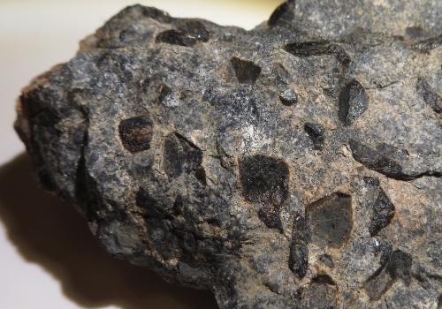 Lujavrita con steenstrupina (un tipo de sienita nefelínica hiper-agpaítica)
Intrusión de Ilímaussaq, Narsaq, Groenlandia
CdV 4 x 4 cm
Minerales en la foto: grandes cristales negros de steenstrupina en matriz de feldespato y agujas de arfvedsonita (o ¿aegirina?)

Formada de magma con concentraciones elevadísimas de sodio, para lo cual mineralogos rusos han acuñado el término "hiper-agpaítica".
En las intrusiones alcalinas de la Península Kola (Rusia) parece que estas condiciones extremas solo se dieron en las pegmatitas y en las vetas hidrotermales, sin embargo en Ilímaussaq tenemos grandes masas de rocas formadas bajo tales circunstancias, como la que vemos aquí.
Las Lujavritas son lo último en la seria de rocas formadas en la gran intrusión central de Ilímaussaq, es deceir entre lo último que se ha cristalizado de ese cuerpo de magma alcalino.

Además del gran interés mineralógico y geoquímico justamente las lujavritas han recibido también atención económica y geopolítica por ser una posible mena de tierras raras (REE).
Una empresa australiana, que tiene un proyecto de posible extracción en estado avanzado, resume el perfil mineralógico de las lujavritas más o menos en este cuadro en una de sus presentaciones:
* Fe-silicatos (anfíbol o piroxeno, aegirina o arfvedsonita respetivamente)
* Feldespatos/feldespatoides (albita, microclina, sodalita, analcima)
* Steenstrupina (y otros fosfo-silicatos, conteniendo U y REE en grandes cantidades)
* Esfalerita (fuente de Zn)

Como última curiosidad: la steenstrupina sustituye a la eudialita cuando el magma pasa a ser hiper-agpaítico.

Para más detalles sobre la steenstrupina, véase el hilo de Ilímaussaq: http://www.foro-minerales.com/forum/viewtopic.php?t=8678&postdays=0&postorder=asc&start=40 (Autor: Kaszon Kovacs)