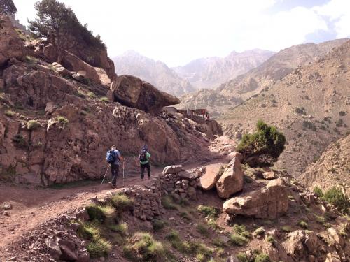 La escasa vegetación deja al descubierto la geología del lugar. (Autor: Josele)