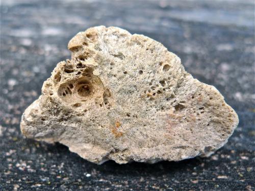 Pumita<br />Italy<br />3 x 2 x 1,5 cm<br /> (Autor: Josele)