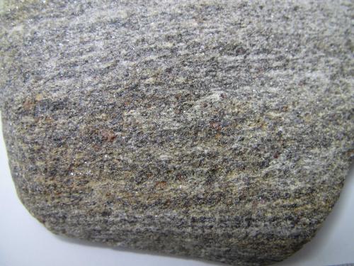 Paragneis<br />Herbeira, Cariño, Comarca Ortegal, La Coruña / A Coruña, Galicia / Galiza, Spain<br />8 cm. ancho de campo<br /> (Autor: prcantos)
