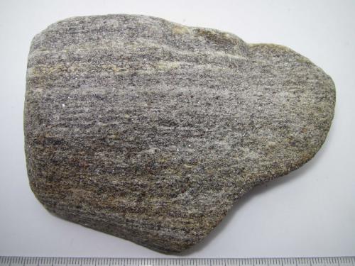 Paragneis<br />Herbeira, Cariño, Comarca Ortegal, La Coruña / A Coruña, Galicia / Galiza, Spain<br />11 x 8 cm.<br /> (Autor: prcantos)