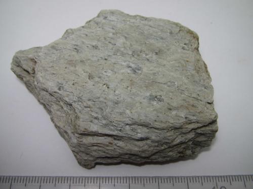 Serpentinita<br />Macizo ultramáfico (ultrabásico) de Herbeira-Complejo de Cabo Ortegal, Herbeira, Cariño, Comarca Ortegal, La Coruña / A Coruña, Galicia / Galiza, Spain<br />8 x 6''5 cm.<br /> (Autor: prcantos)
