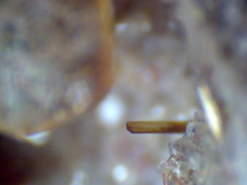 Lamproita: micros de las vacuolas<br />Canteras de La Aljorra, Cerro de la Cabezuela (Volcán de la Aljorra), La Aljorra, Cartagena, Comarca Campo de Cartagena, Región de Murcia (Murcia), España<br />150X<br /> (Autor: prcantos)