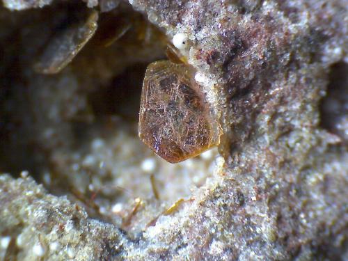 Lamproita: micros de las vacuolas<br />Canteras de La Aljorra, Cerro de la Cabezuela (Volcán de la Aljorra), La Aljorra, Cartagena, Comarca Campo de Cartagena, Región de Murcia (Murcia), España<br />Placa de 2 x 2 mm.<br /> (Autor: prcantos)