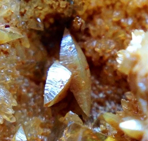 Wulfenita<br />Torrent Mine, Mont-Ras, Comarca Baix Empordà, Gerona / Girona, Catalonia / Catalunya, Spain<br />Cristales 1,5x1mm<br /> (Autor: Emilio Téllez)