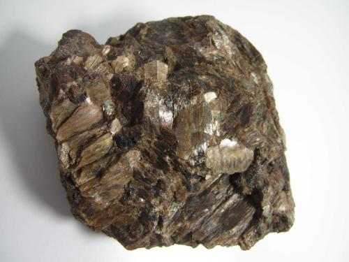 Piroxenita (broncitita)<br />Kraubath an der Mur, Leoben, Styria/Steiermark, Austria<br />6 x 5 cm.<br /> (Autor: prcantos)