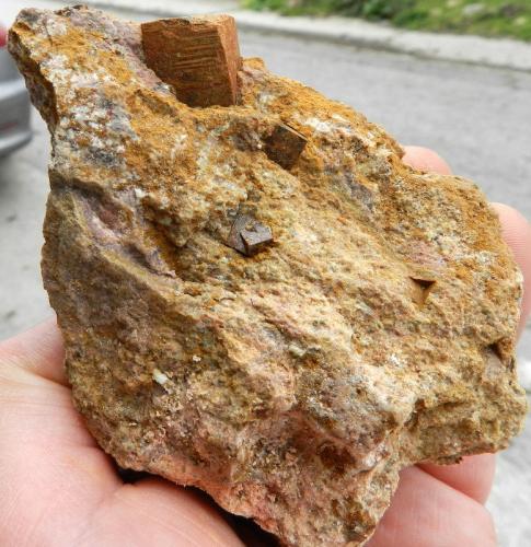 Limonita pseudo Pirita<br />Congosto, Comarca El Bierzo, León, Castile and León, Spain<br />11-8 cm<br /> (Autor: ramon ro)