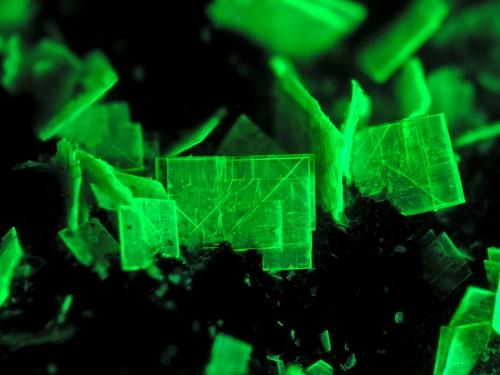 Autunite<br />Mina Senhora da Assunção, Aldeia Nova, Ferreira de Aves, Sátão, Distrito Viseu, Portugal<br />FOV 5 mm<br /> (Author: Cesar M. Salvan)