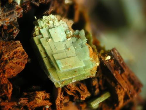 Metatorbernite<br />Senhora da Assunção Mine, Aldeia Nova, Ferreira de Aves, Sátão, Viseu District, Portugal<br />FOV 5 mm<br /> (Author: Cesar M. Salvan)