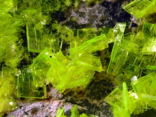 Autunite<br />Senhora da Assunção Mine, Aldeia Nova, Ferreira de Aves, Sátão, Viseu District, Portugal<br />FOV 1 cm<br /> (Author: Cesar M. Salvan)