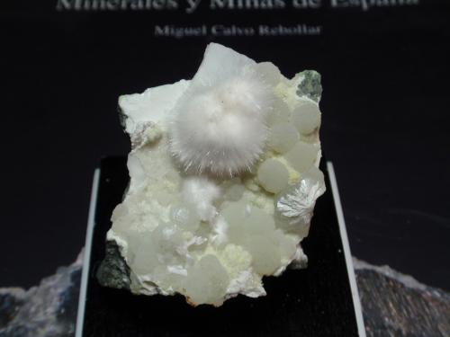 Okenita<br />Distrito Mumbai, Maharashtra, India<br />35x40 mm<br /> (Autor: Ignacio)