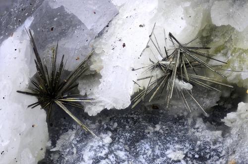 Millerita<br />Ca' dei Ladri (Silla), Gaggio Montano, Provincia Bologna, Emilia-Romagna, Italia<br />Campo de visión 2,1 mm.<br /> (Autor: Juan Miguel)