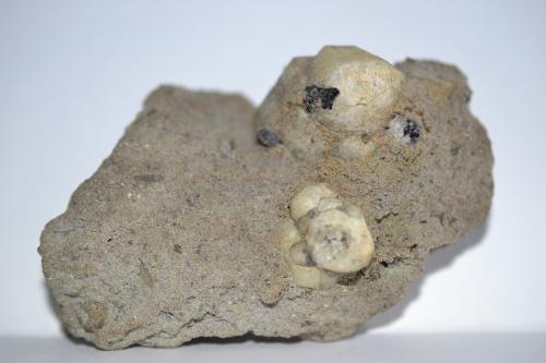 Tefrita leucítica<br />Orchi, Conca della Campania, Roccamonfina Volcanic Complex, Caserta Province, Campania, Italy<br />85x55x35 mm<br /> (Autor: Raul S. Llorente)