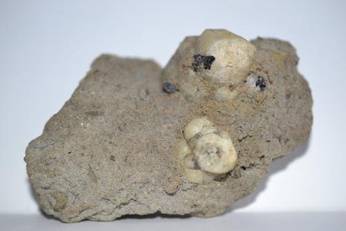 Tefrita leucítica<br />Orchi, Conca della Campania, Complejo volcánico Roccamonfina, Provincia Caserta, Campania, Italia<br />85x55x35 mm<br /> (Autor: Raul S. Llorente)