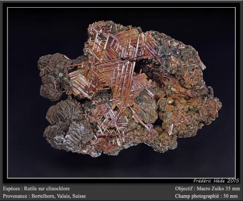 Rutile on clinochlore<br />Bortelhorn, Steinu Valley, Simplón pass area, Brig, Wallis (Valais), Switzerland<br />fov 50 mm<br /> (Author: ploum)