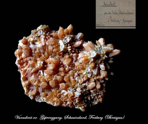 Vanadinite<br />Gsprenggang vein, Schauinsland mining district, Black Forest, Baden-Württemberg, Germany<br />3,8 x 3 cm<br /> (Author: Andreas Gerstenberg)