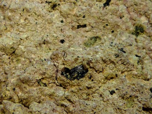 Andesita con hornblenda<br />Cabo de Gata, Níjar, Comarca Metropolitana de Almería, Almería, Andalucía, España<br />10 x 7 x 5 cm.<br /> (Autor: Felipe Abolafia)