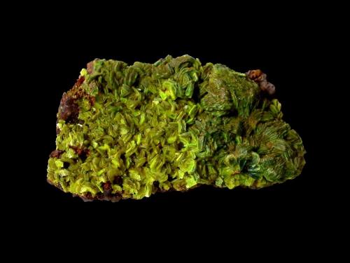 Autunite<br />Rockelmann Quarry, Schwarzenberg District, Erzgebirgskreis, Saxony/Sachsen, Germany<br />5,5 x 3 cm<br /> (Author: Andreas Gerstenberg)