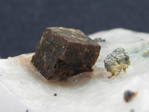 Perovskita<br />Sasso Moro, Valle Campo Moro, Lanzada, Valle Lanterna, Valmalenco, Valtellina, Provincia Sondrio, Lombardía, Italia<br />Cristal con aristas de 4 mm.<br /> (Autor: prcantos)