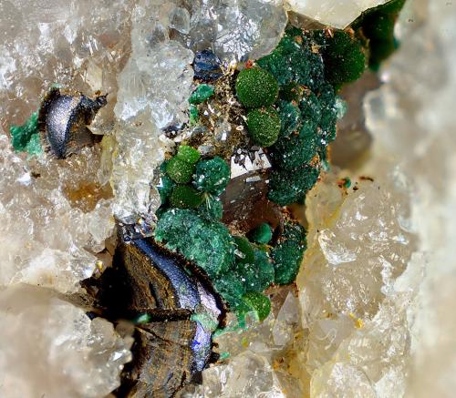 Conicalcita, atacamita y hematites sobre cuarzo.<br />Mina San Guillermo, El Guijo, Comarca Los Pedroches, Córdoba, Andalucía, España<br />Campo de visión de 7 mm<br /> (Autor: Antonio Carmona)