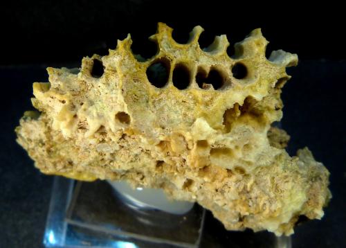Celestina<br />Concesión Minerama II, Urbanización Puente Tablas, Jaén ciudad, Jaén, Comarca Metropolitana de Jaén, Andalucía, España<br />6 x 4 x 3 cm.<br /> (Autor: Felipe Abolafia)