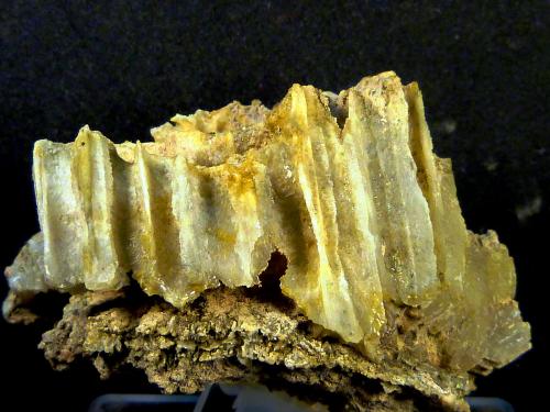 Celestina<br />Concesión Minerama II, Urbanización Puente Tablas, Jaén ciudad, Jaén, Comarca Metropolitana de Jaén, Andalucía, España<br />6 x 4 x 3 cm.<br /> (Autor: Felipe Abolafia)