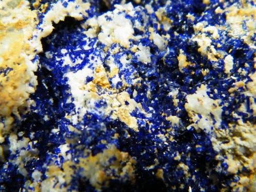 Azurite<br />Tsumeb Mine, Tsumeb, Otjikoto Region, Namibia<br />110x110mm<br /> (Author: Heimo Hellwig)