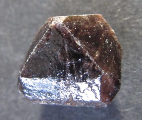 Zircón<br />Peixe alkaline complex, Peixe, Tocantins, Norte Region, Brazil<br />20 x 18 mm.<br /> (Autor: prcantos)