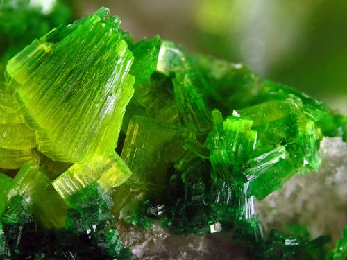 Saléeite and Torbernite<br />Senhora da Assunção Mine, Aldeia Nova, Ferreira de Aves, Sátão, Viseu District, Portugal<br />FOV 1.2 cm<br /> (Author: Cesar M. Salvan)